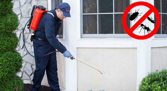 Ilgaz Hamam Böceği İlaçlama böcek ilaçlama ve haşere kontrolü — ilaclama-tr.com